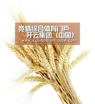 竞猜综合体育门户 - 开云集团（中国）官方