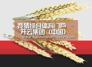竞猜综合体育门户 - 开云集团（中国）官方
