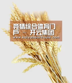 竞猜综合体育门户 - 开云集团（中国）官方