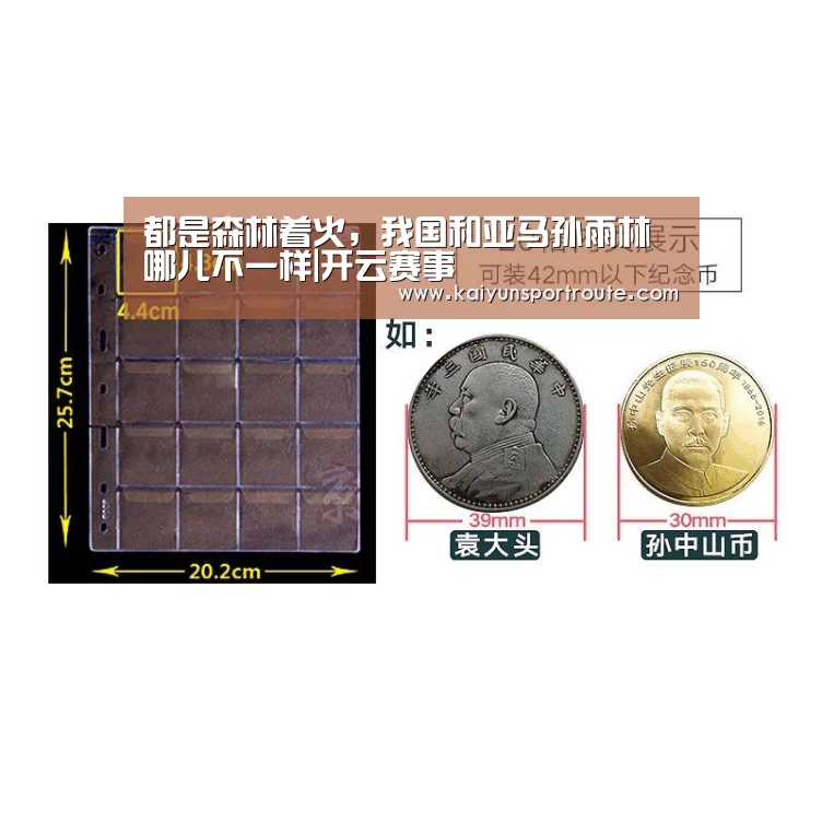 都是森林着火,我国和亚马孙雨林哪儿不一样|开云赛事(图4) 开云推荐