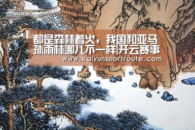 都是森林着火,我国和亚马孙雨林哪儿不一样|开云赛事(图3) 开云推荐