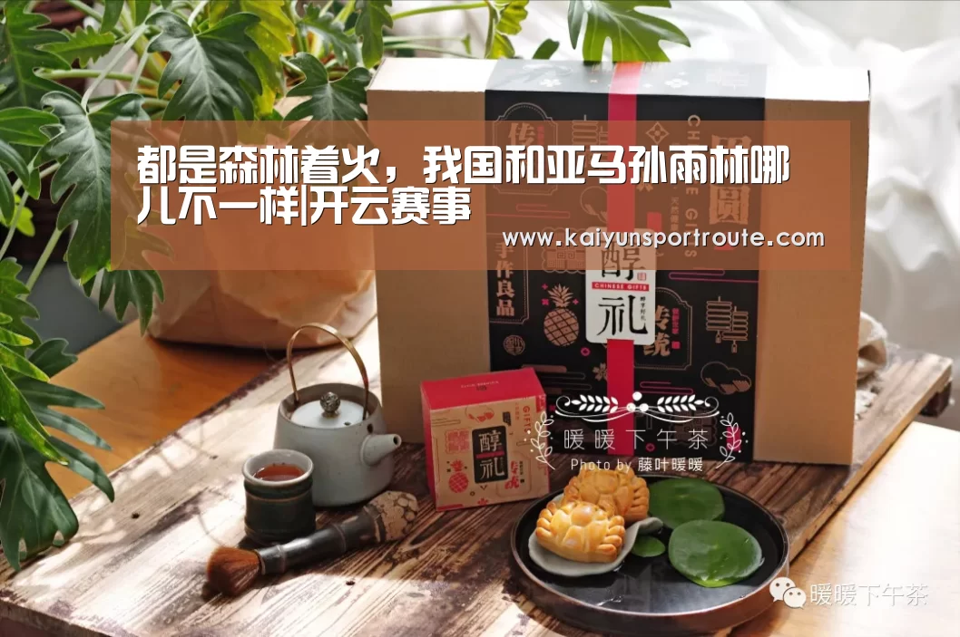 都是森林着火,我国和亚马孙雨林哪儿不一样|开云赛事(图2) 开云赛事