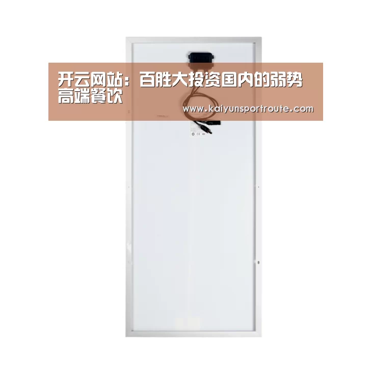 开云网站