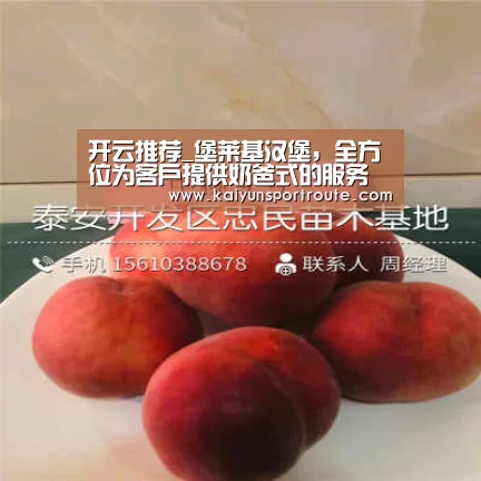 开云推荐_堡莱基汉堡,全方位为客户提供奶爸式的服务(图1) 开云网站
