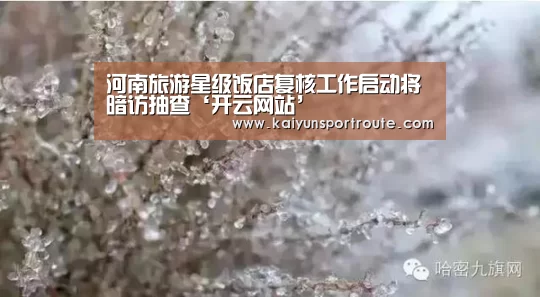 开云赛事
