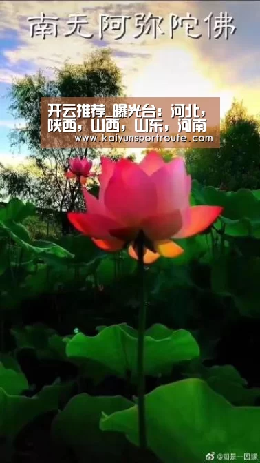 开云直播