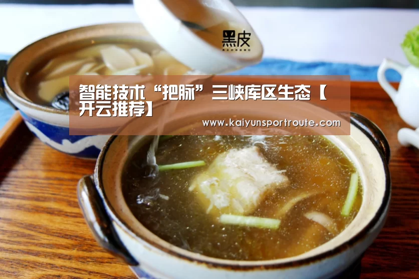 智能技术“把脉”三峡库区生态【开云推荐】(图2) 开云网站