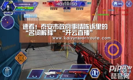速看!泰安市政府事情陈诉里的“名词解释”“开云直播”(图2) 开云赛事