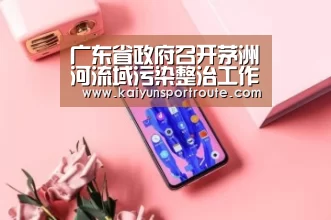 广东省政府召开茅洲河流域污染整治工作推进会 张光军出席【开云直播】(图3) 开云网站