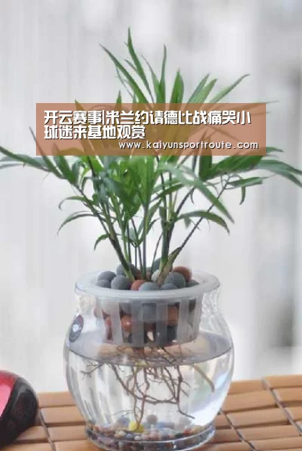 开云赛事|米兰约请德比战痛哭小球迷来基地观赏(图2) 开云推荐