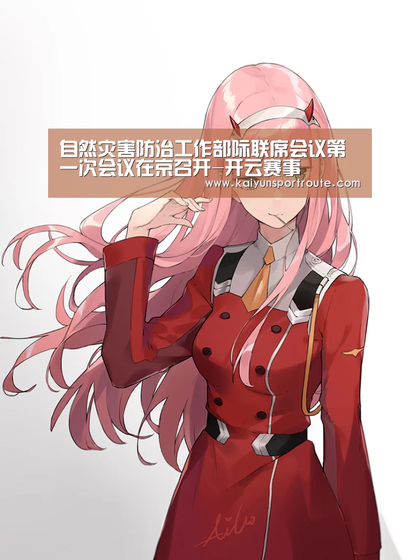 自然灾害防治工作部际联席会议第一次会议在京召开-开云赛事(图4) 开云赛事