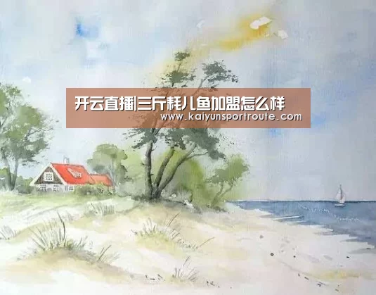 开云直播|三斤耗儿鱼加盟怎么样(图2) 开云网站